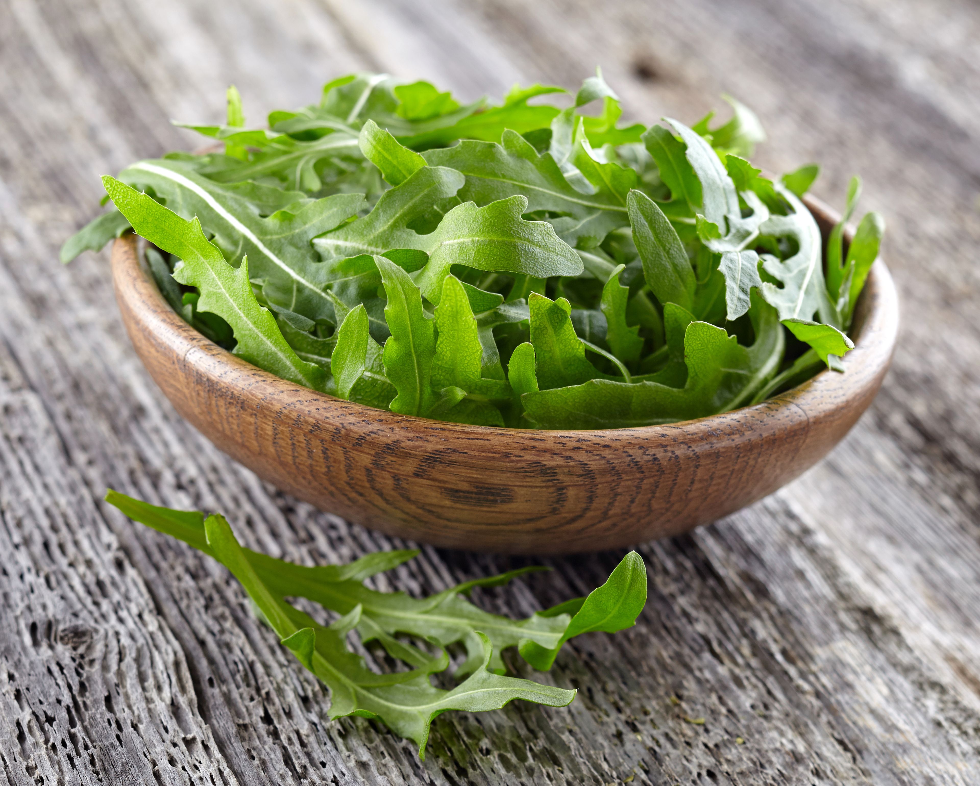 Rucola: Verwendung, Dosierung & Kauftipps