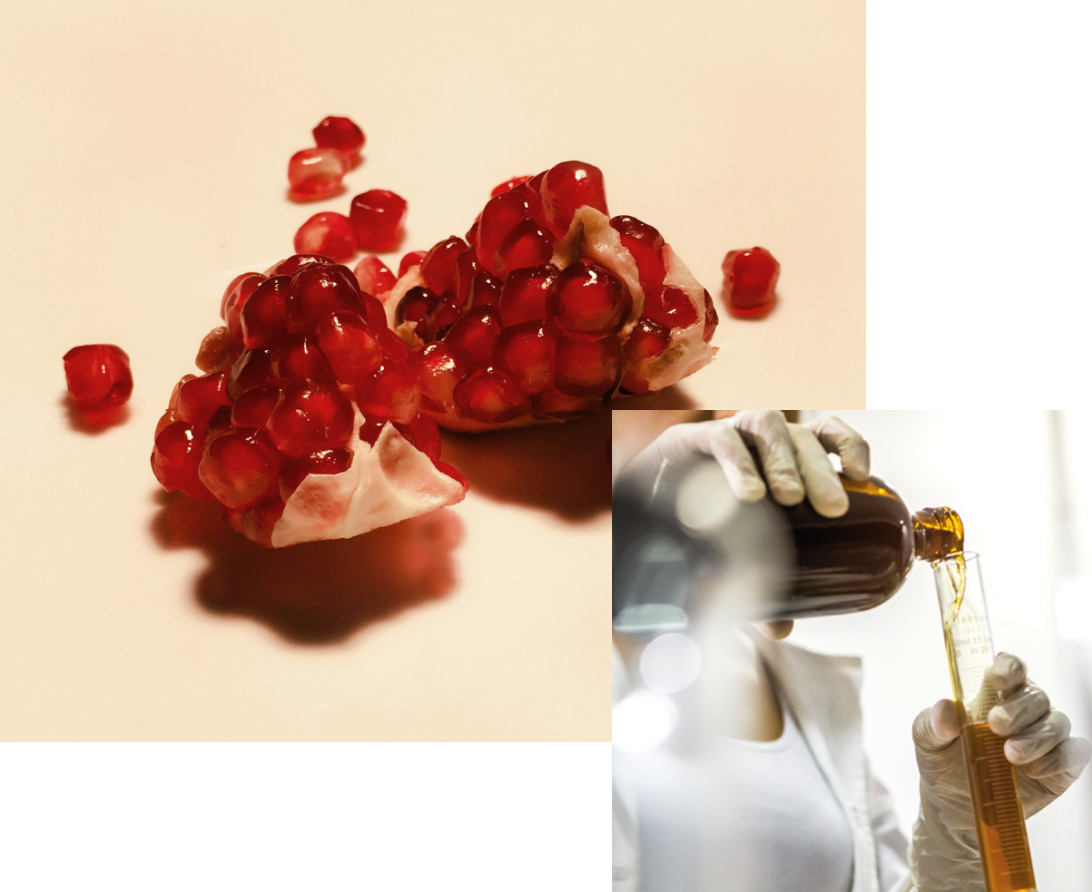 ricerca farmaceutica