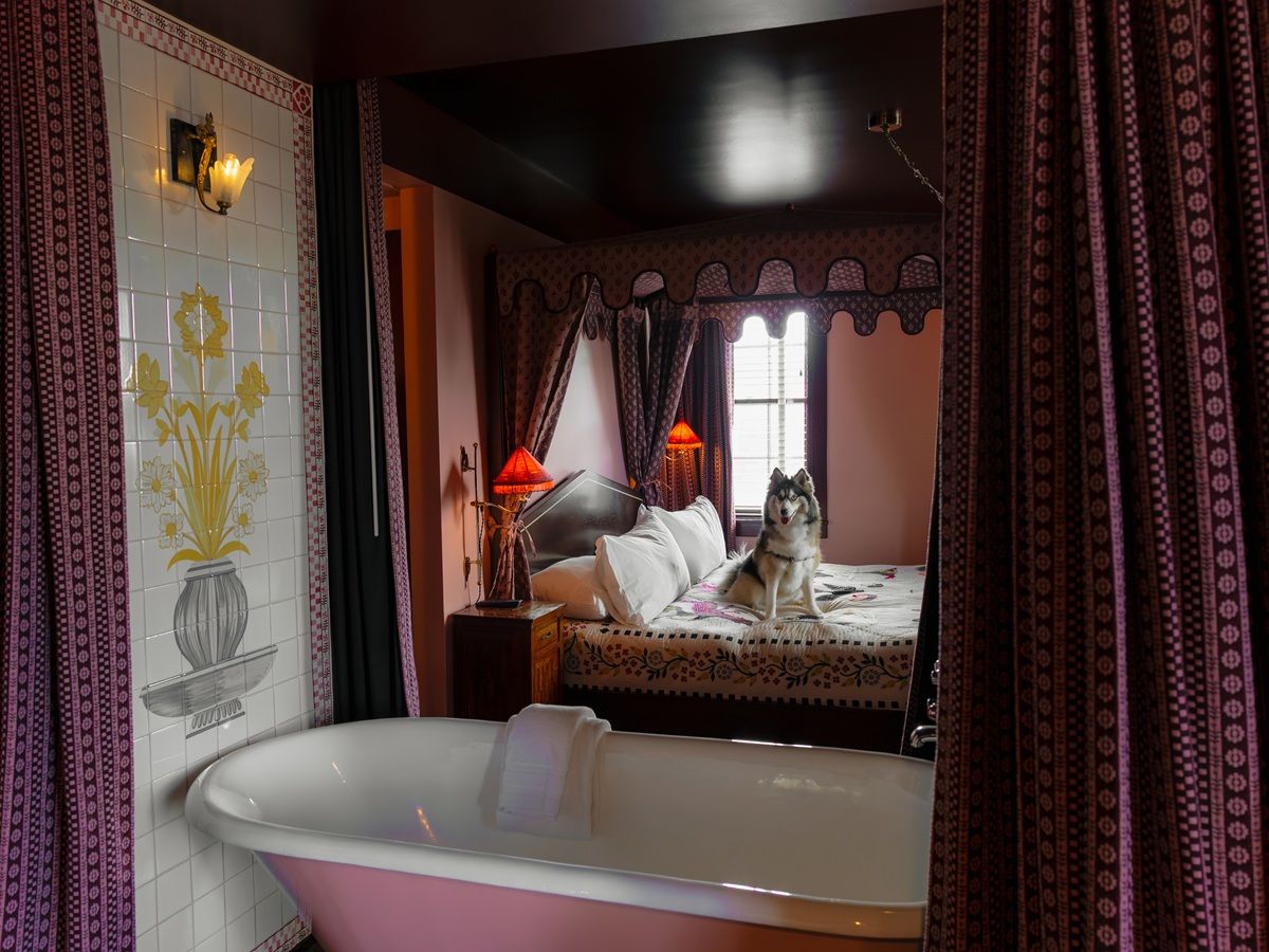 A cozy room with a dog on a bed, decorative curtains, a bathtub with a towel, and vintage lamps, creating an inviting atmosphere.