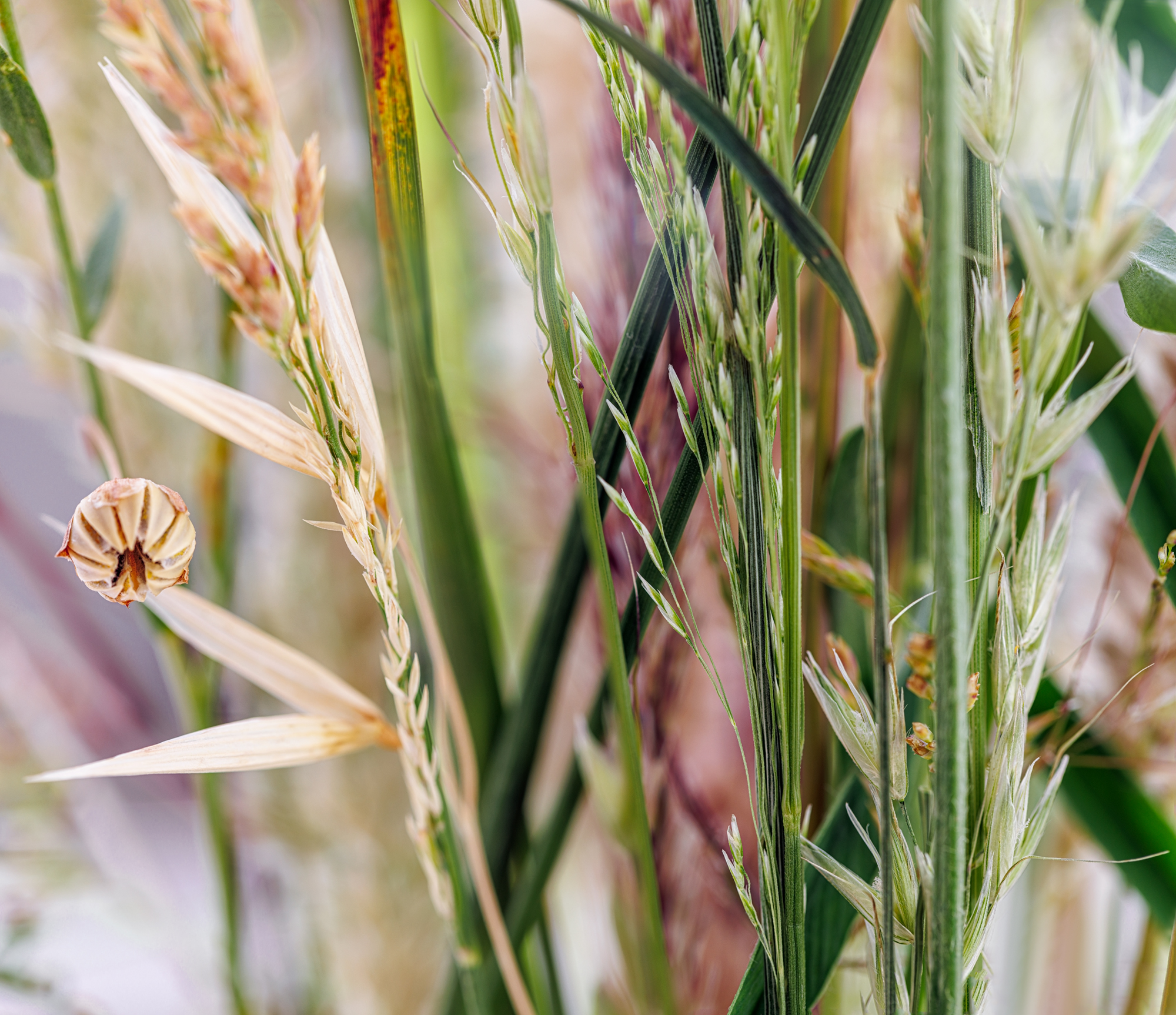 MADx_GRAS02-9_WEB-large