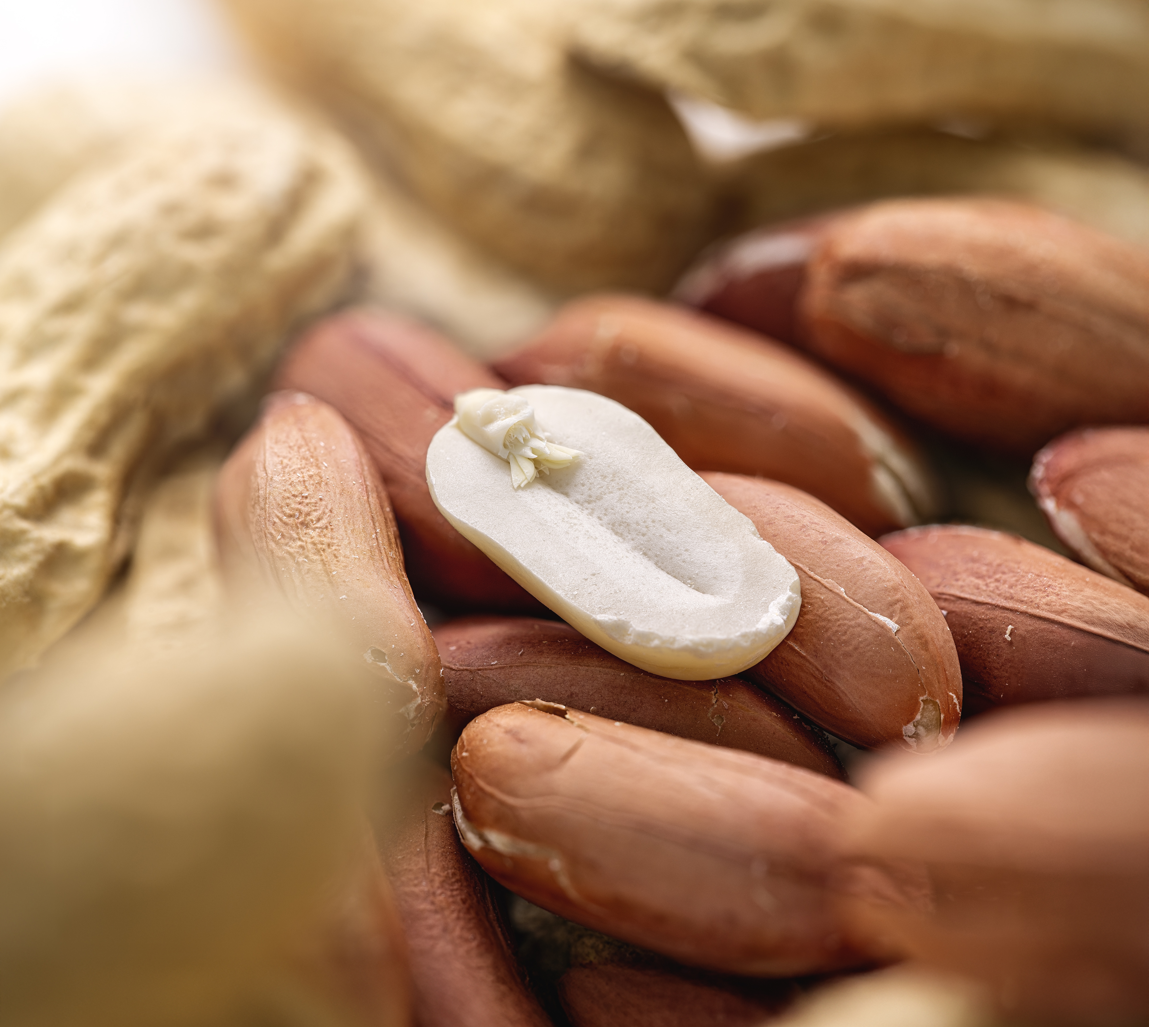 Macroimage of half a peanut with peanuts in shells unterneath