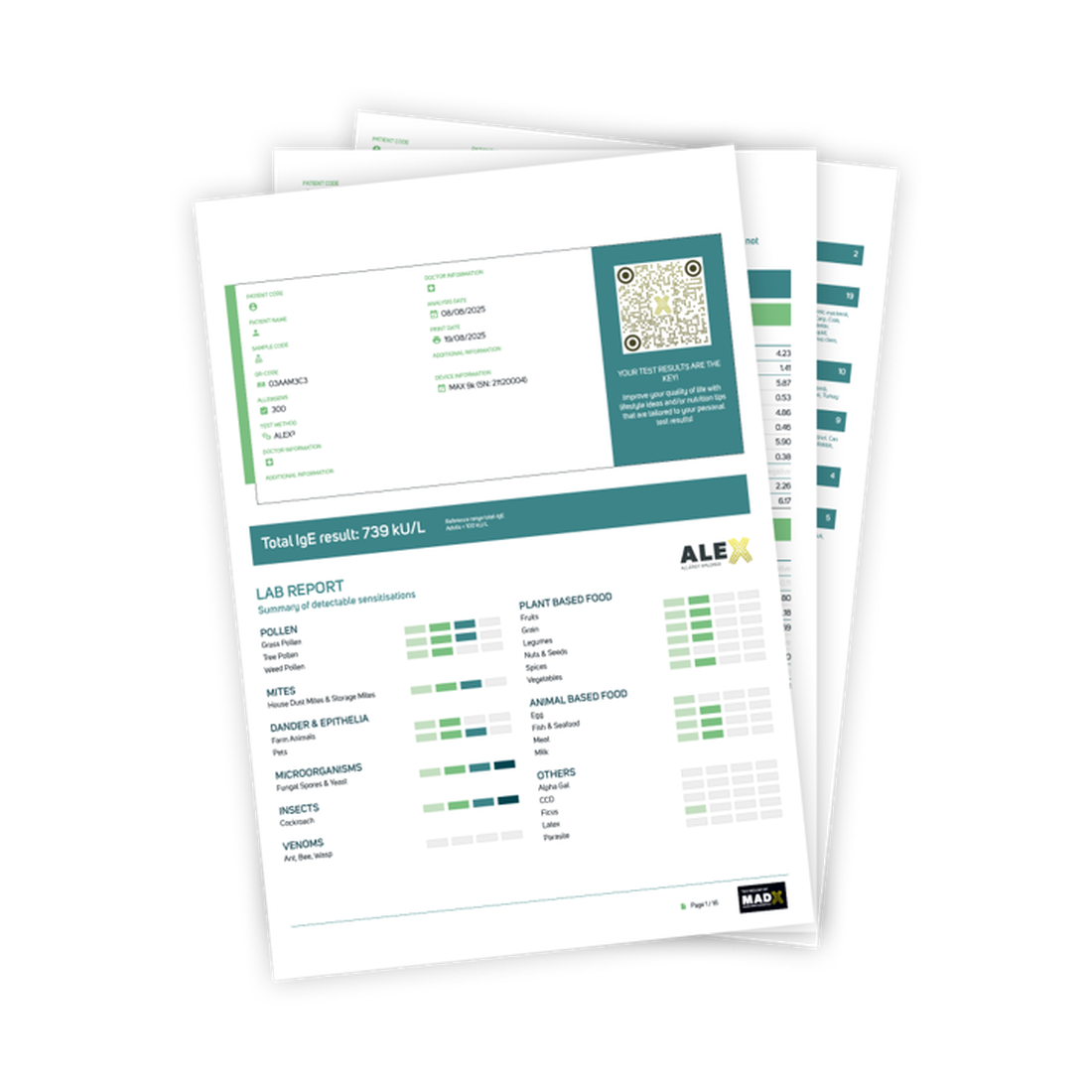 report mockup