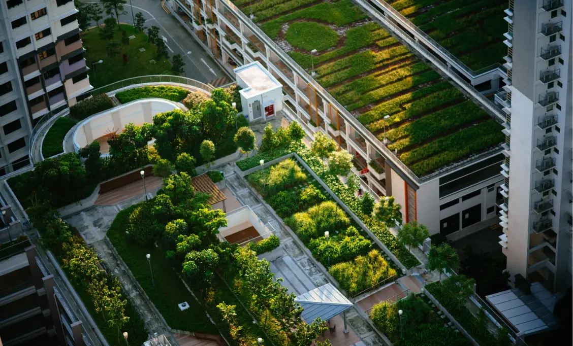 https://a.storyblok.com/f/164928/1128x682/429ade6989/greenroof-hero.jpg