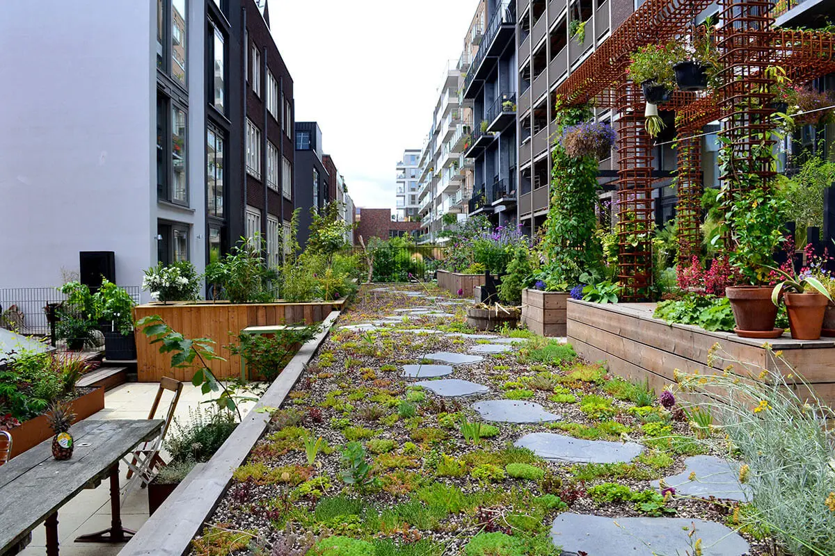 Gründachterrasse inmitten eines Wohnhausgebiets