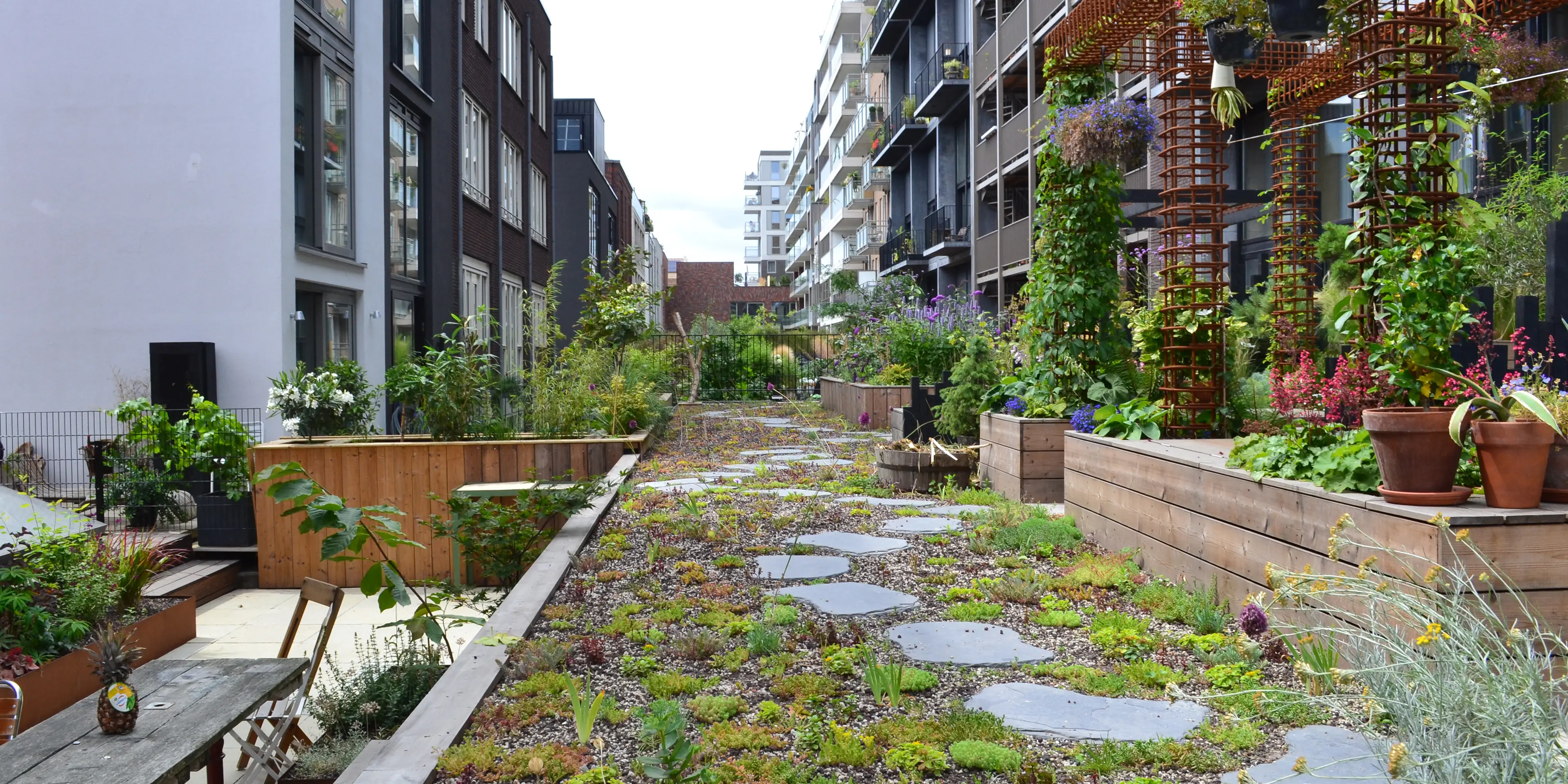 Gründachterrasse