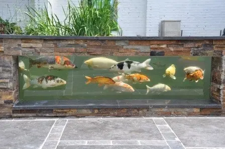 Koivijver