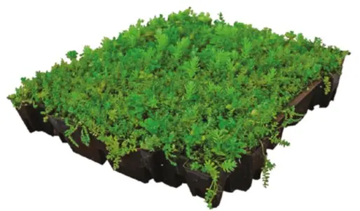 Modular green roof 