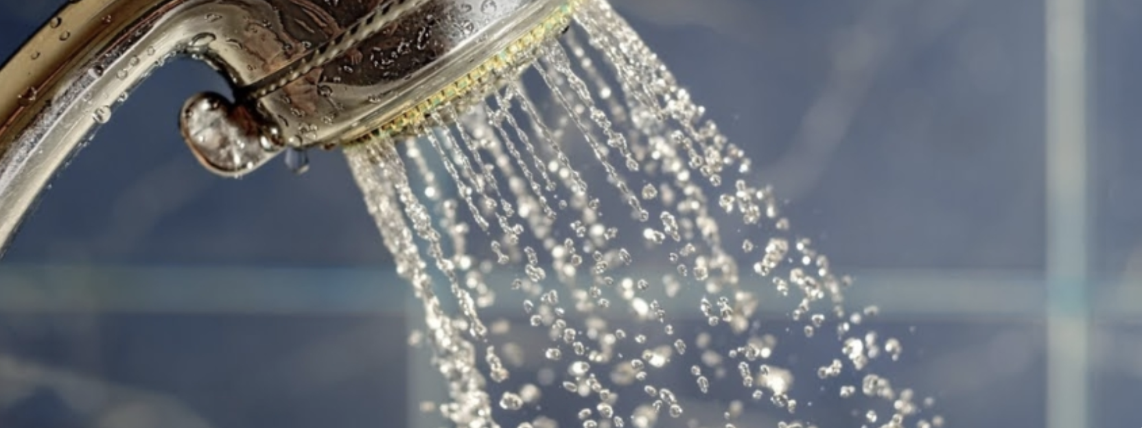 Benefits of Installing LowFlow Showerheads in Rental Units Moon