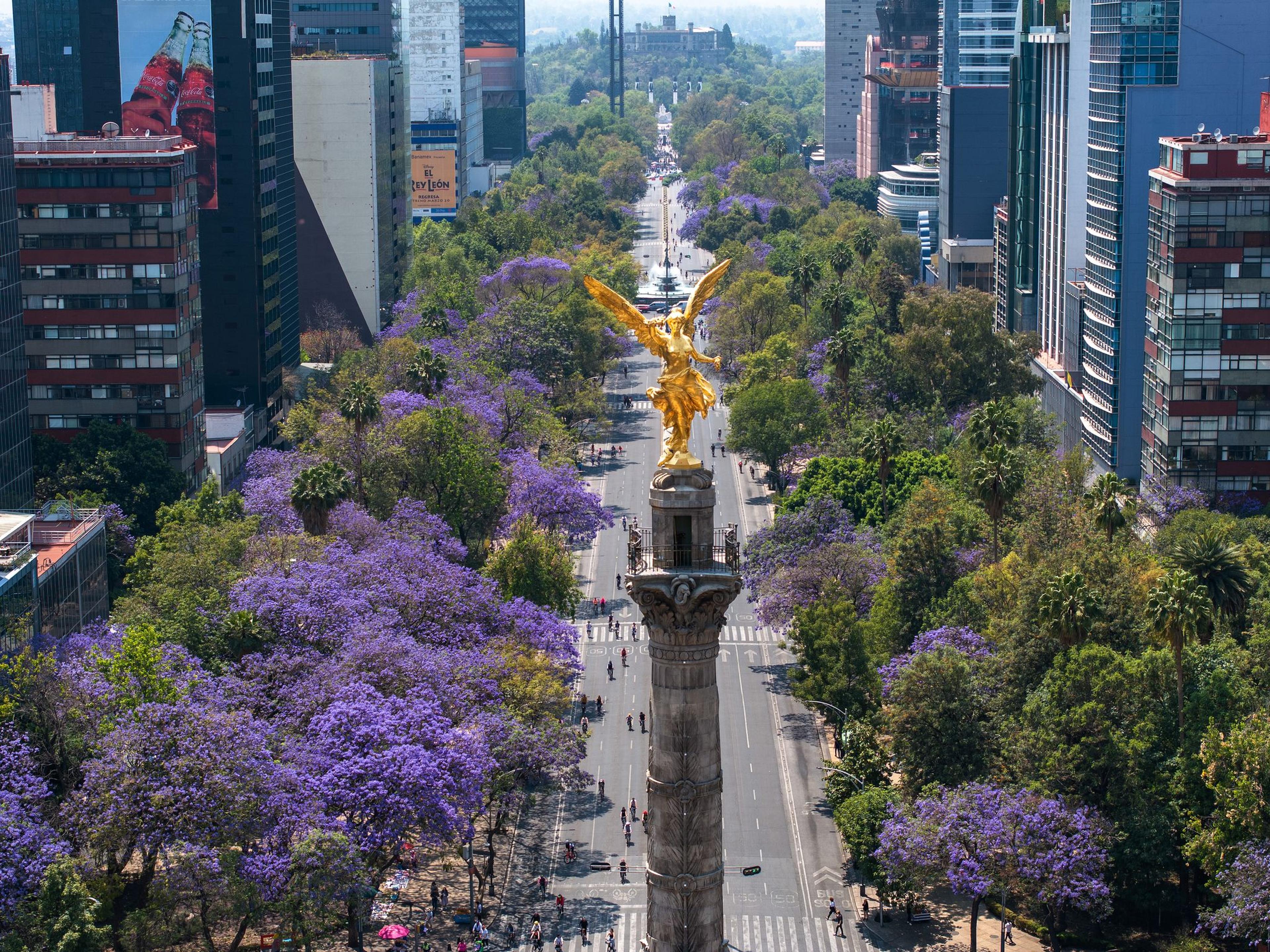 Ein am 23. März 2025 aufgenommenes Drohnenfoto zeigt blühende Jacaranda-Bäume entlang der Avenida Reforma in Mexiko-Stadt, der Hauptstadt von Mexiko. Jedes Jahr von März bis April schmücken diese violett-blauen Blüten die Straßen, Parks und Plätze der Stadt und bieten ein malerisches Bild.