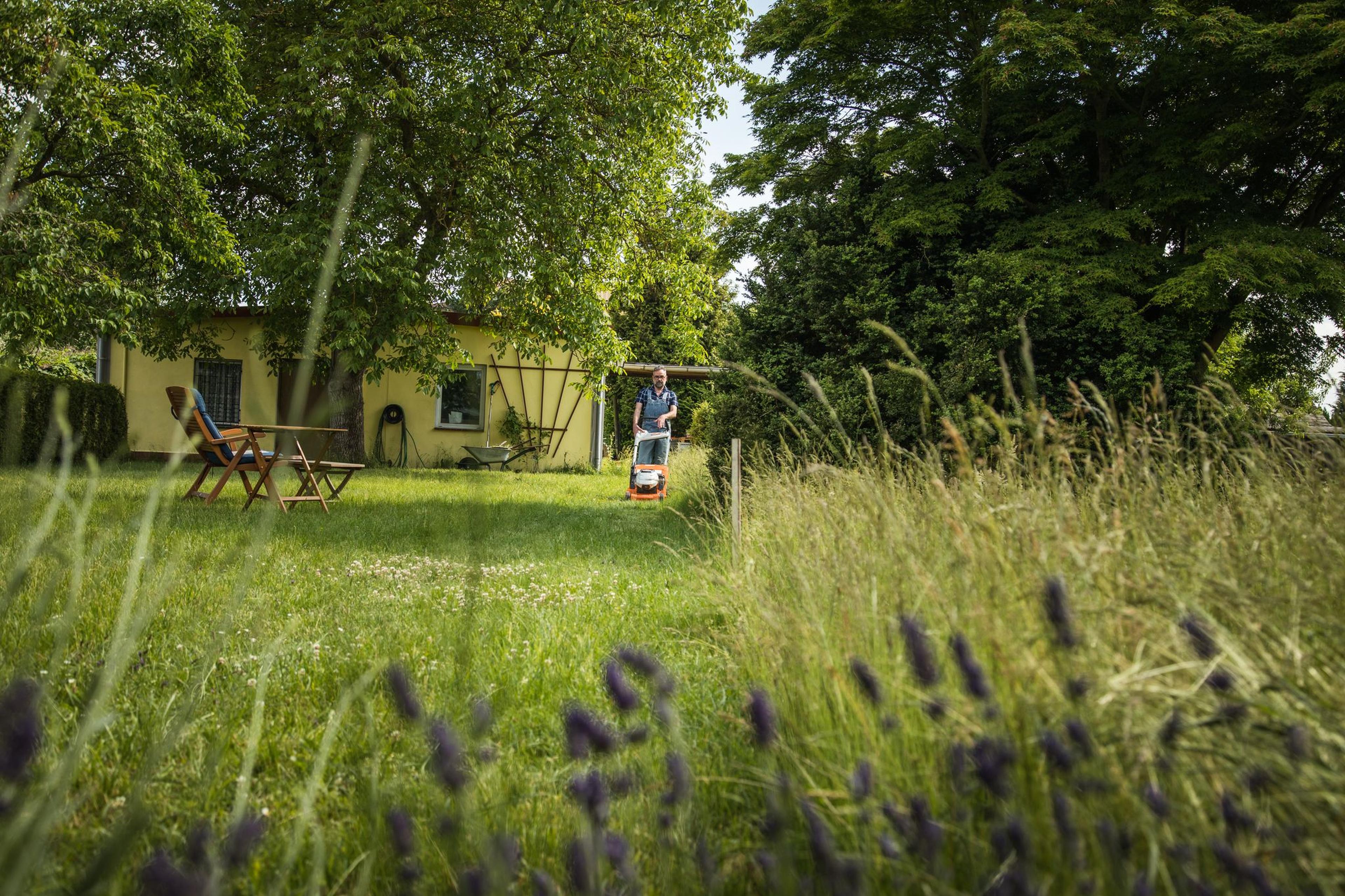 Weniger Rasenmähen im Sommer fördert die Bodengesundheit.