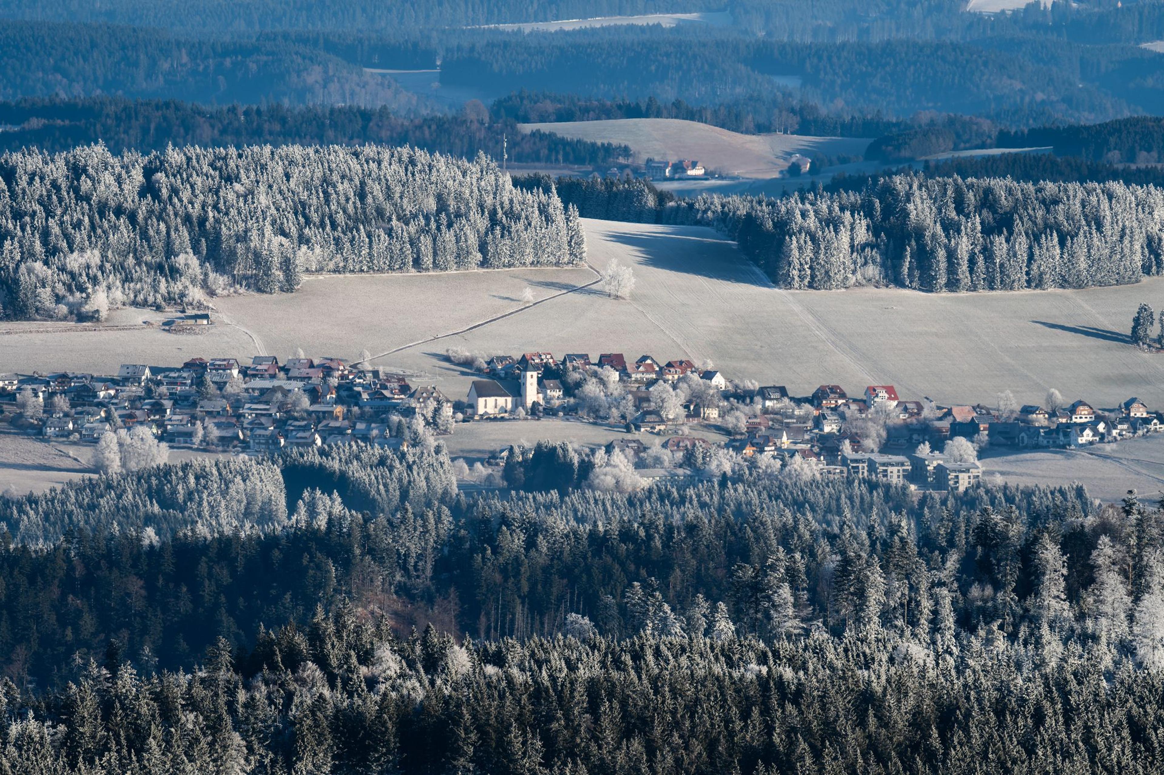 Die von Schnee und Eis bedeckte Landschaft ist vom Feldberg im Schwarzwald aus bei Morgenlicht zu sehen.