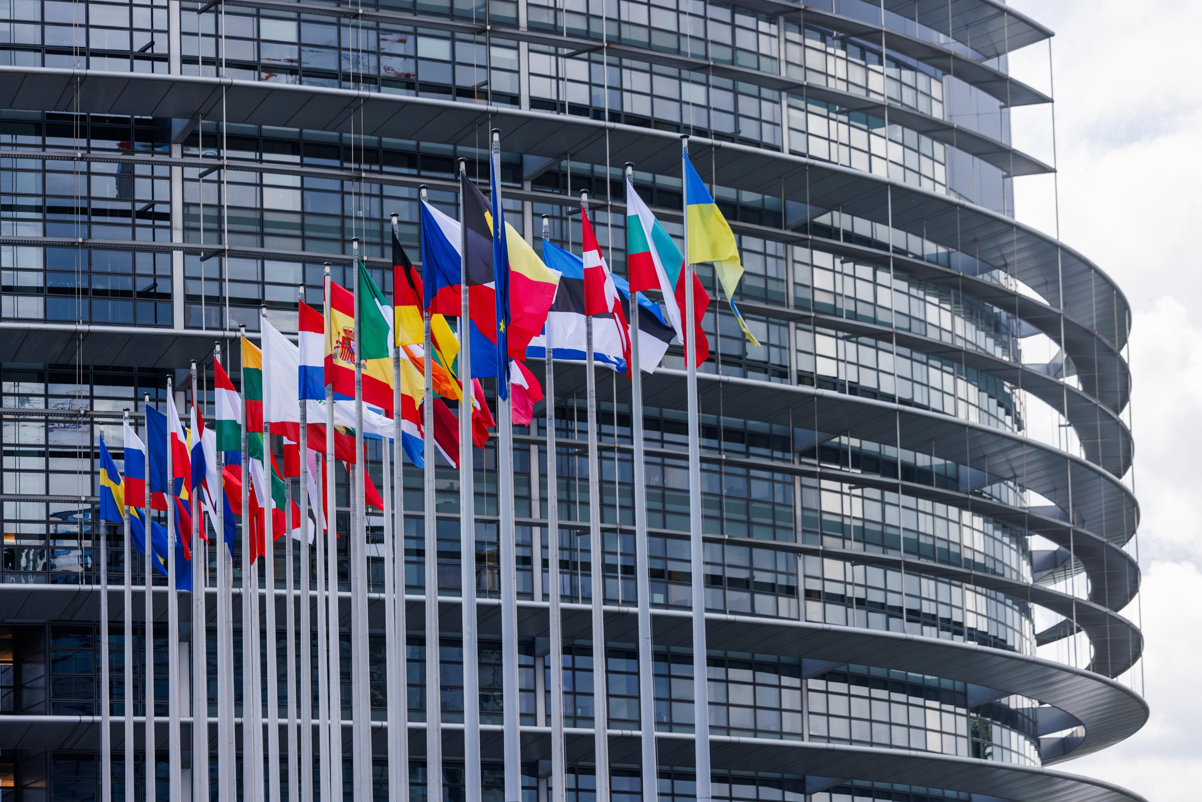 Europian Parliament Flags