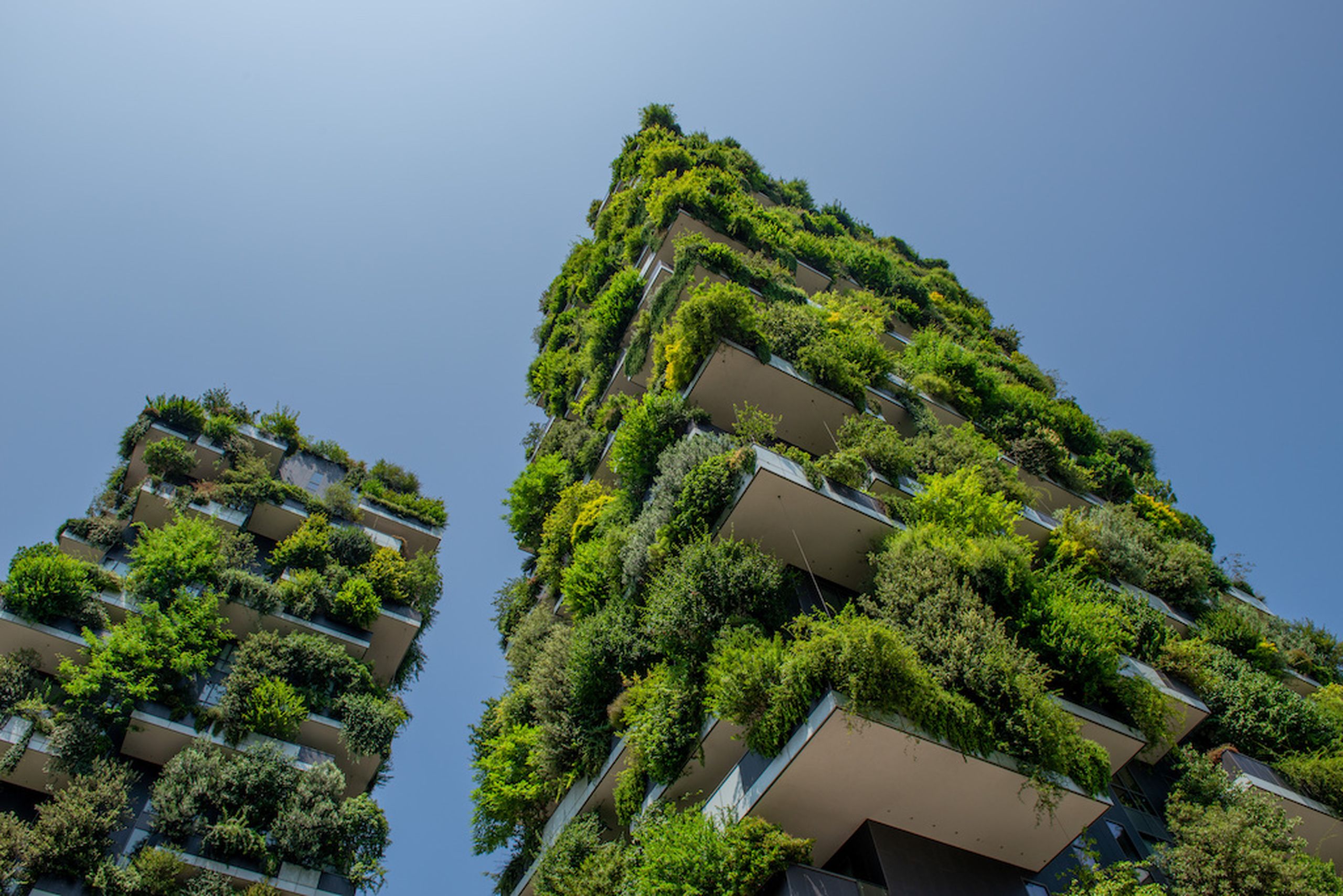 manutenção e jardins verticais, mantenimiento y jardines verticales, bioconstrucción, maintenance and green buildings