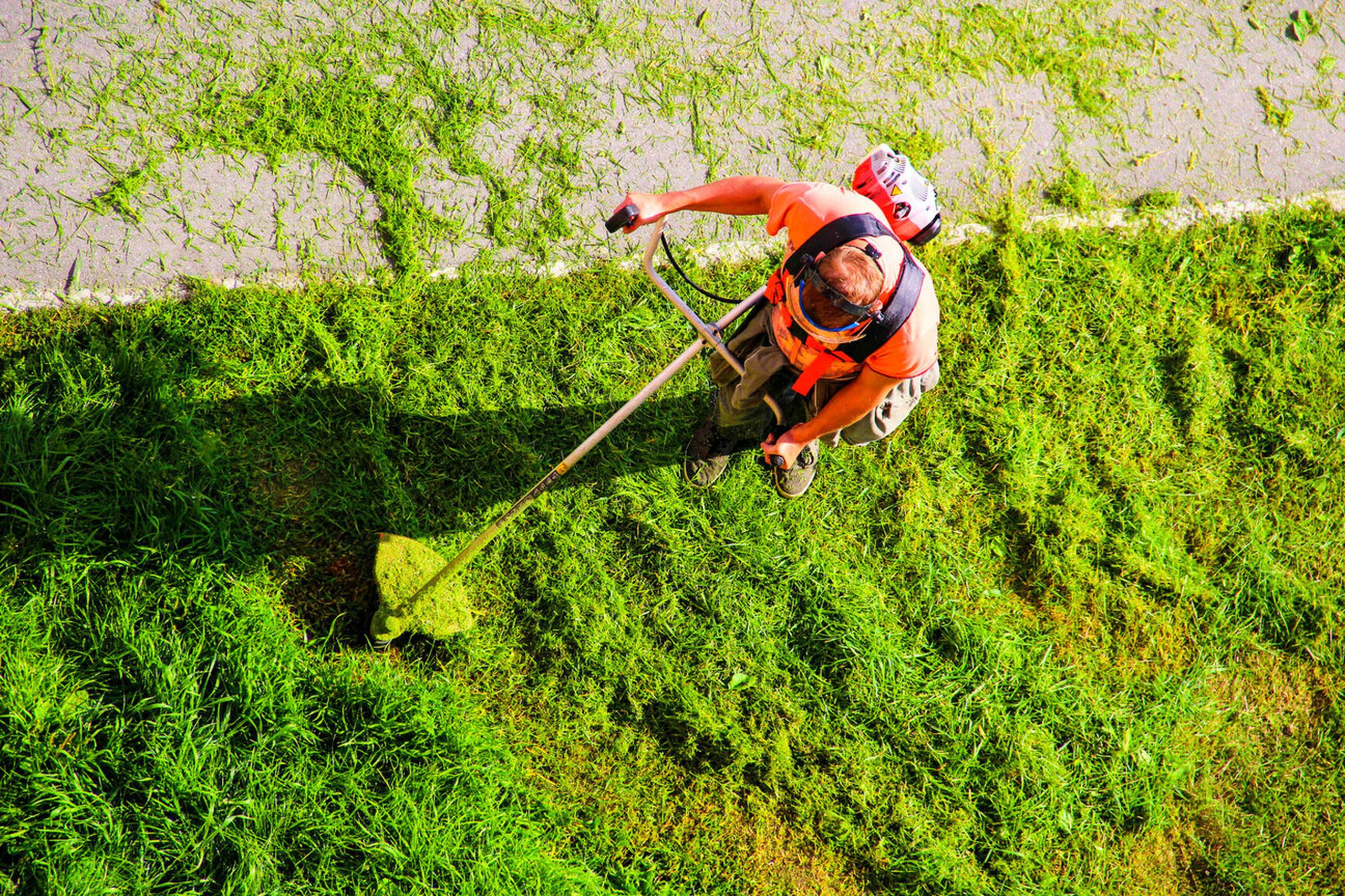 Manutenção de Espaços Verdes | Gestão de Espaços Verdes | Grounds Maintenance | Mantenimiento de Exteriores | grounds Maintenance