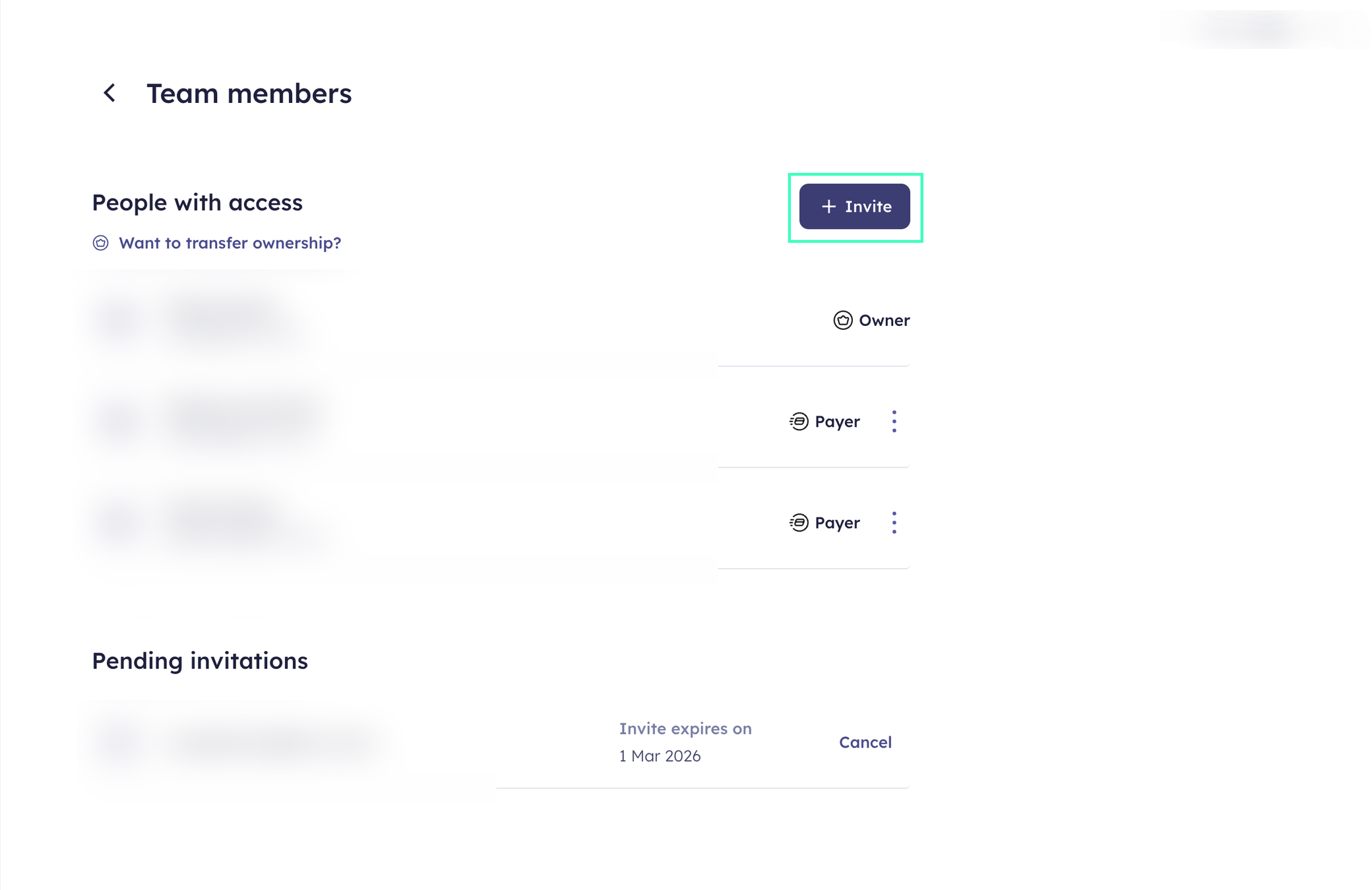 User interface showing team members with access levels and an "Invite" button. Includes owner, payer roles, and pending invitations.