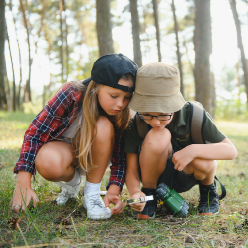 Natural Wonders event image