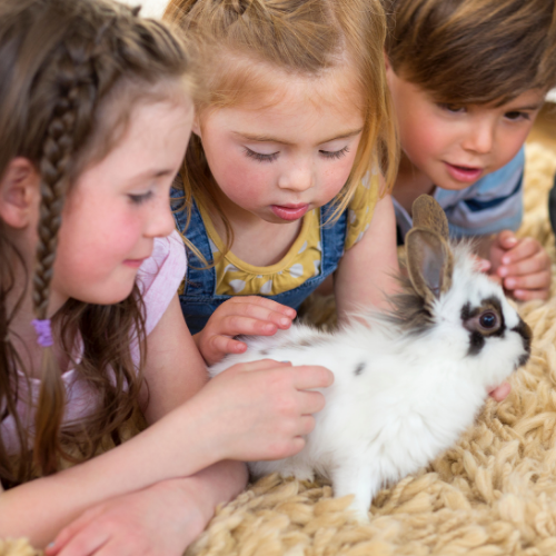 Tiny Zoo Crew event image