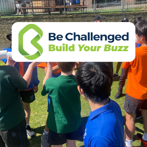 Big Day Out event image