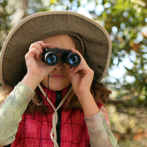 Outwit! Outplay! Outfun! event image