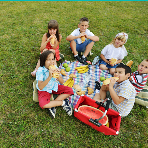 Picnic Party event image