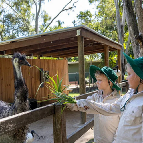 Animal Discovery event image