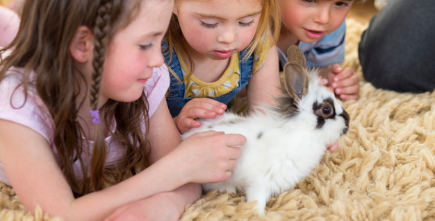 Tiny Zoo Crew event image