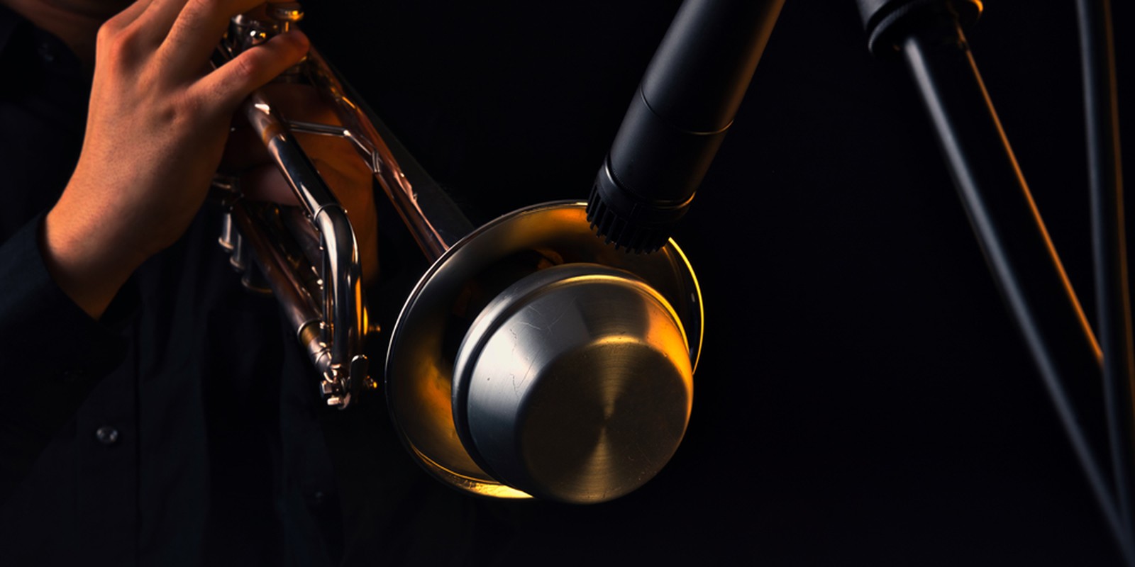 Flügelhorn mit Dämpfer im Bühneneinsatz