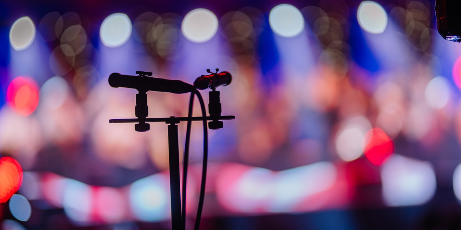 Zwei Mikrofone auf einer Mikrofonschiene