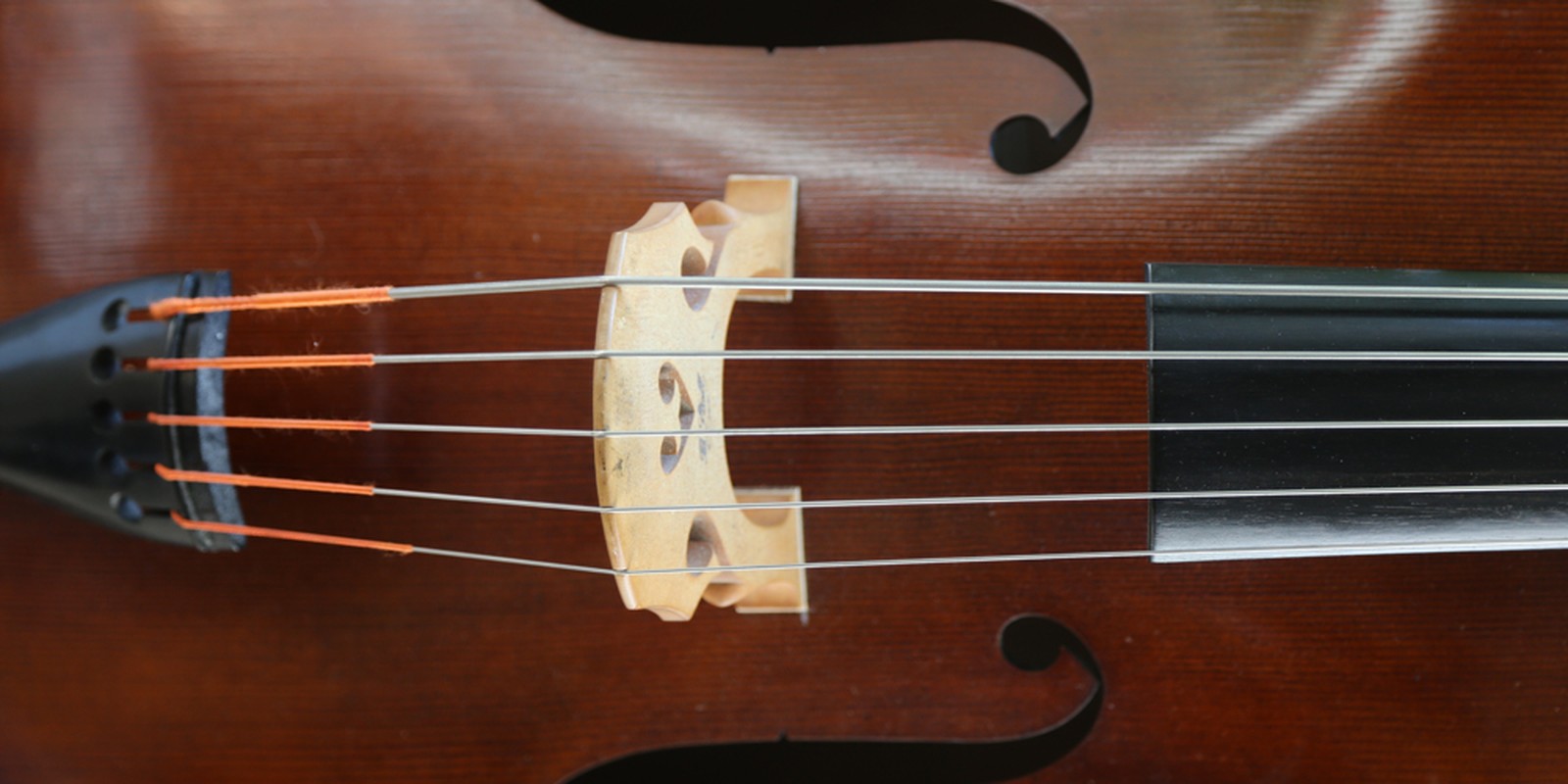 Kontrabass mit fünf Saiten im Detail