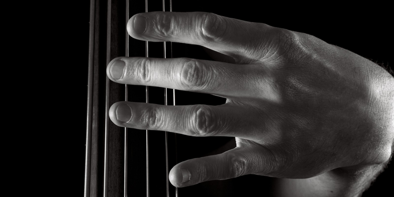 Hand auf dem Griffbrett eines fünfsaitigen E-Kontrabasses