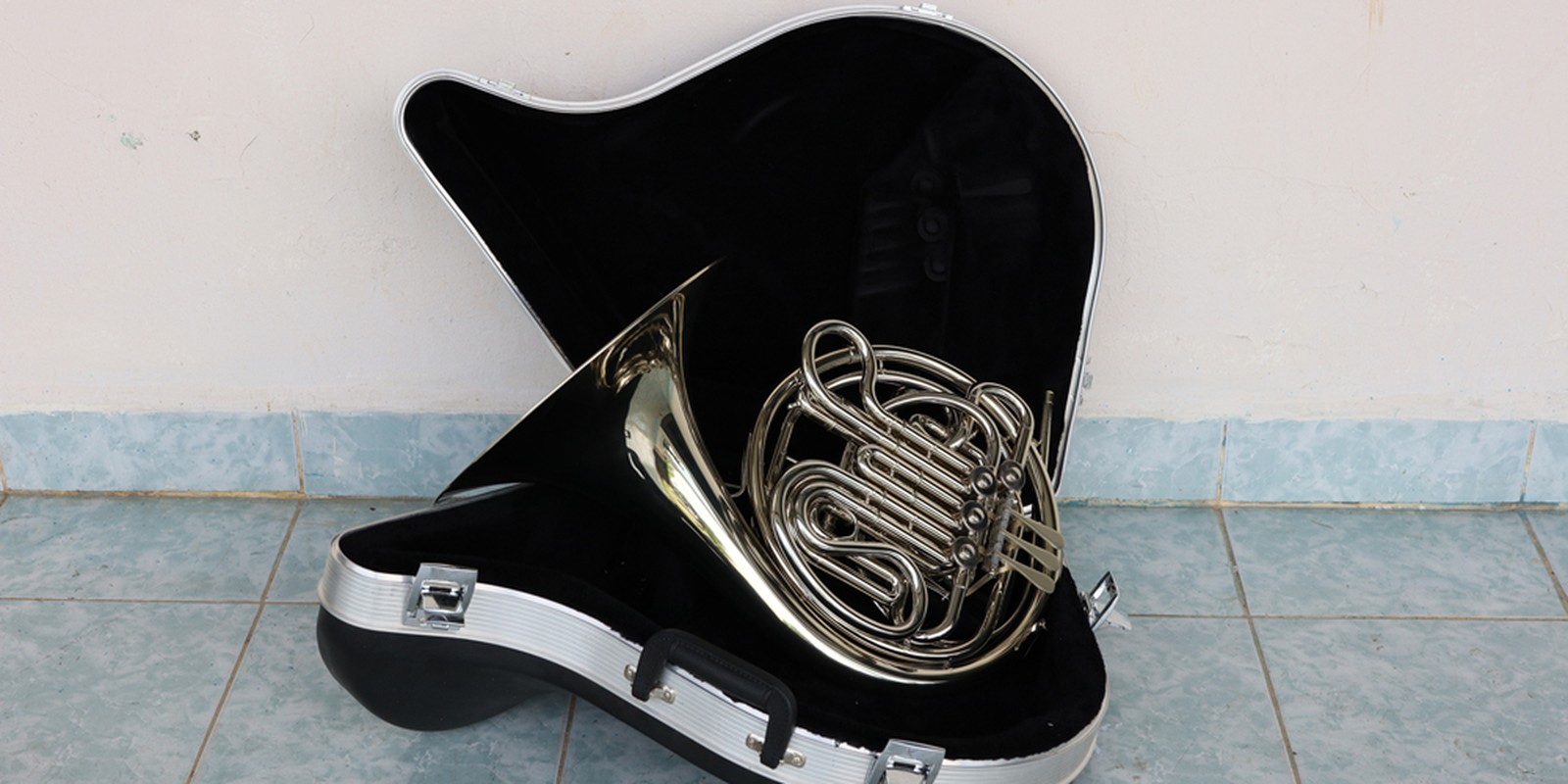 French Horn im Case