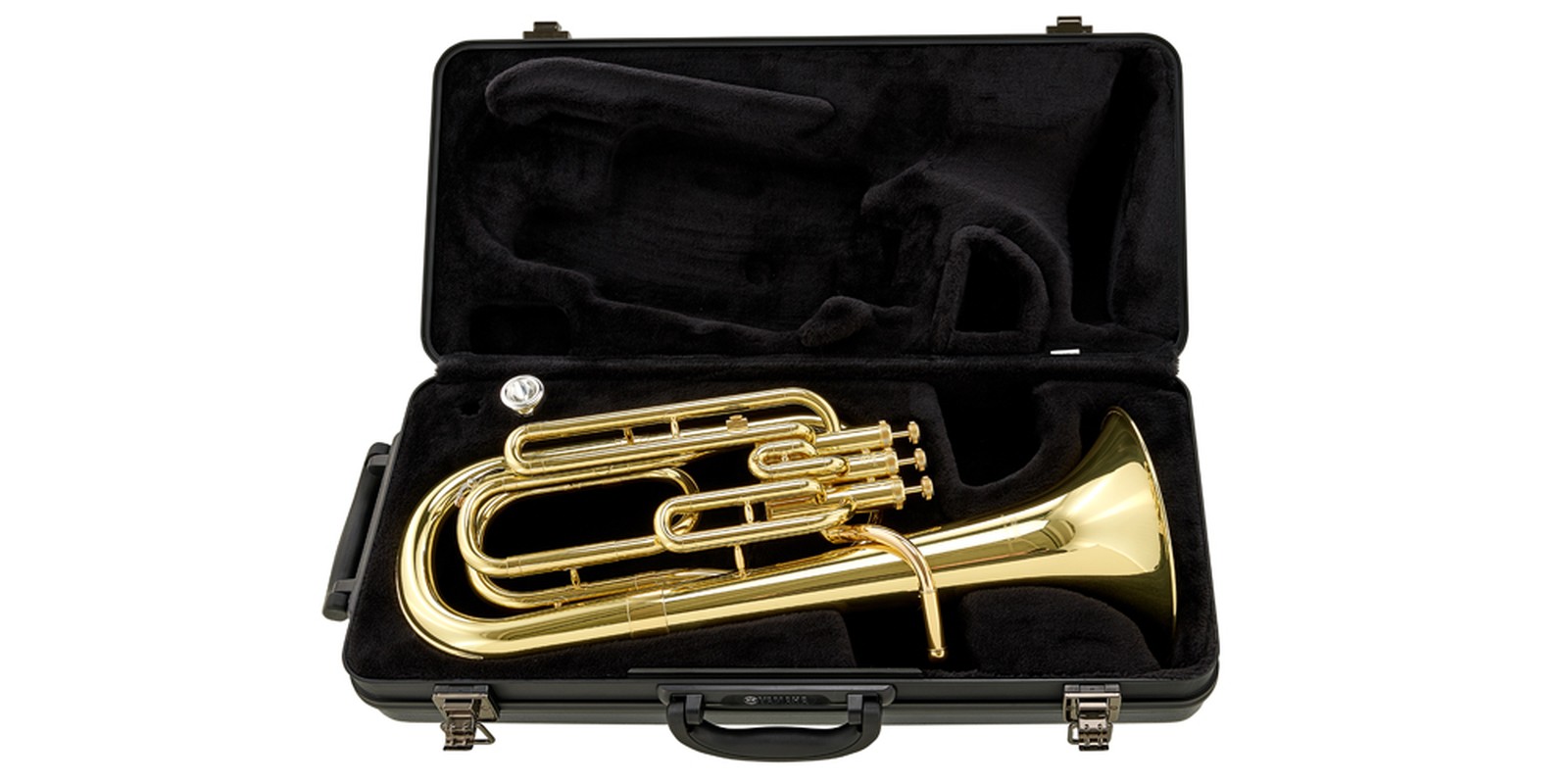 Baritonhorn im Koffer
