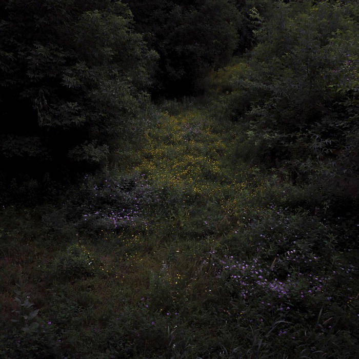 album art for Higher Lonely Power