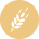 wheat