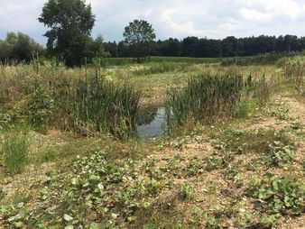 Geiger Umweltsanierung Deponie Donaustetten