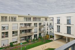 Image Alt text