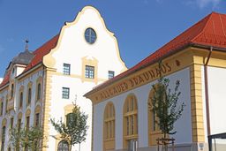 Image Alt text