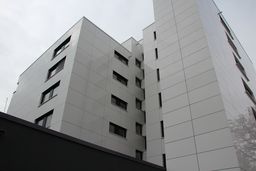 Image Alt text