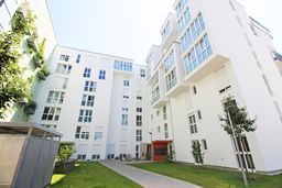 Image Alt text