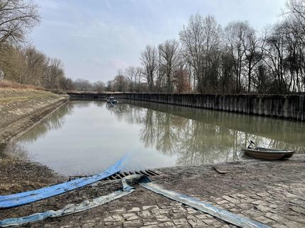 Sanierung Hafenbecken in Wackerstein 