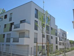 Image Alt text