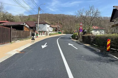 Un drum rural cu marcaje clare pe bandă, case pe fiecare parte, copaci și dealuri în fundal și indicatoare rutiere de-a lungul drumului.