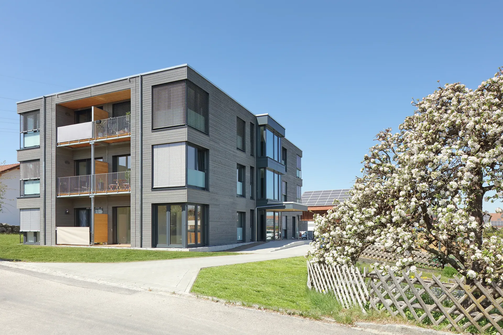 Dreigeschossiges Mehrfamilienhaus in Würfelform aus Holzmodulen mit Balkonen, rechts unten im Bild ein blühender Busch.