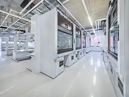 Image Alt text