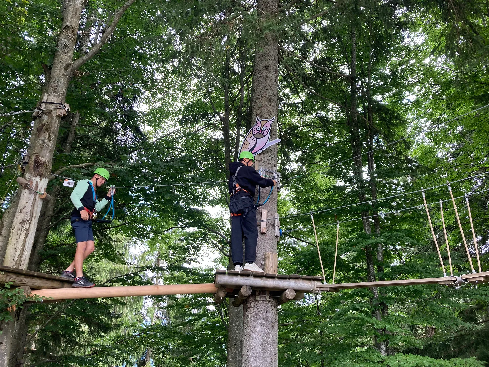 Zwei Personen mit Helmen navigieren durch einen Hochseilgarten in einem Wald. Eine Person steht auf einer Plattform und die andere auf einer Baumstammbrücke.