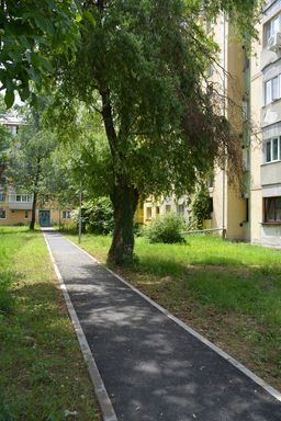 Image Alt text