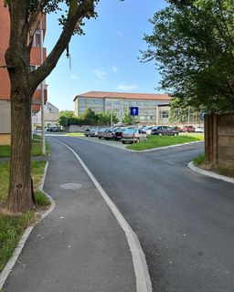 Image Alt text