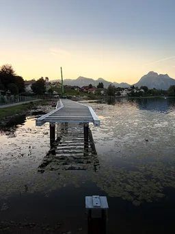 Image Alt text