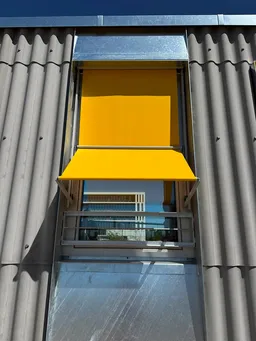 Image Alt text