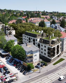 Image Alt text